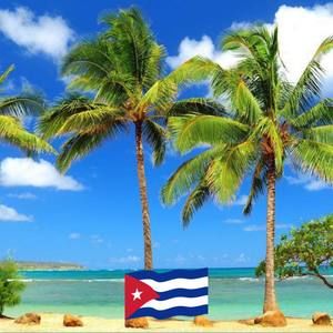 Meet your Posher, Enrique